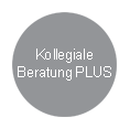 Kollegiale Beratung PLUS