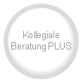 Kollegiale Beratung PLUS